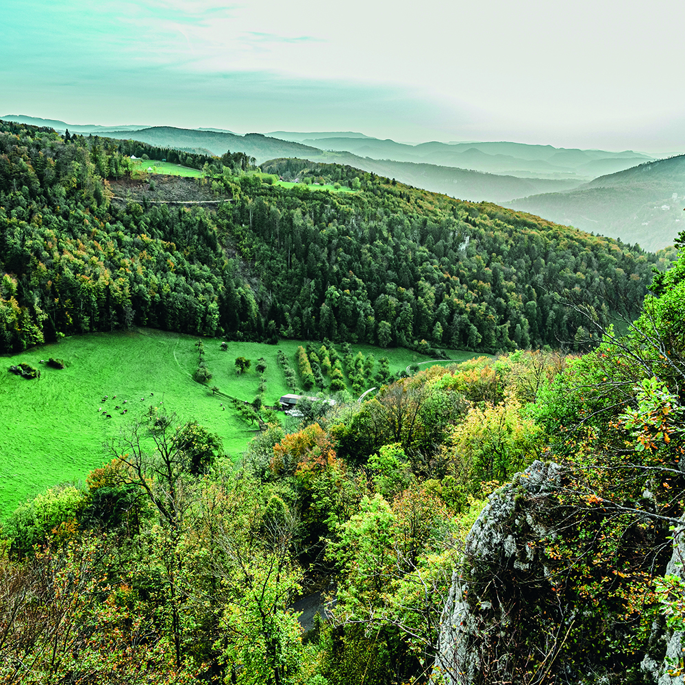 Hochwald Feuerstelle Tannenflue Aussicht