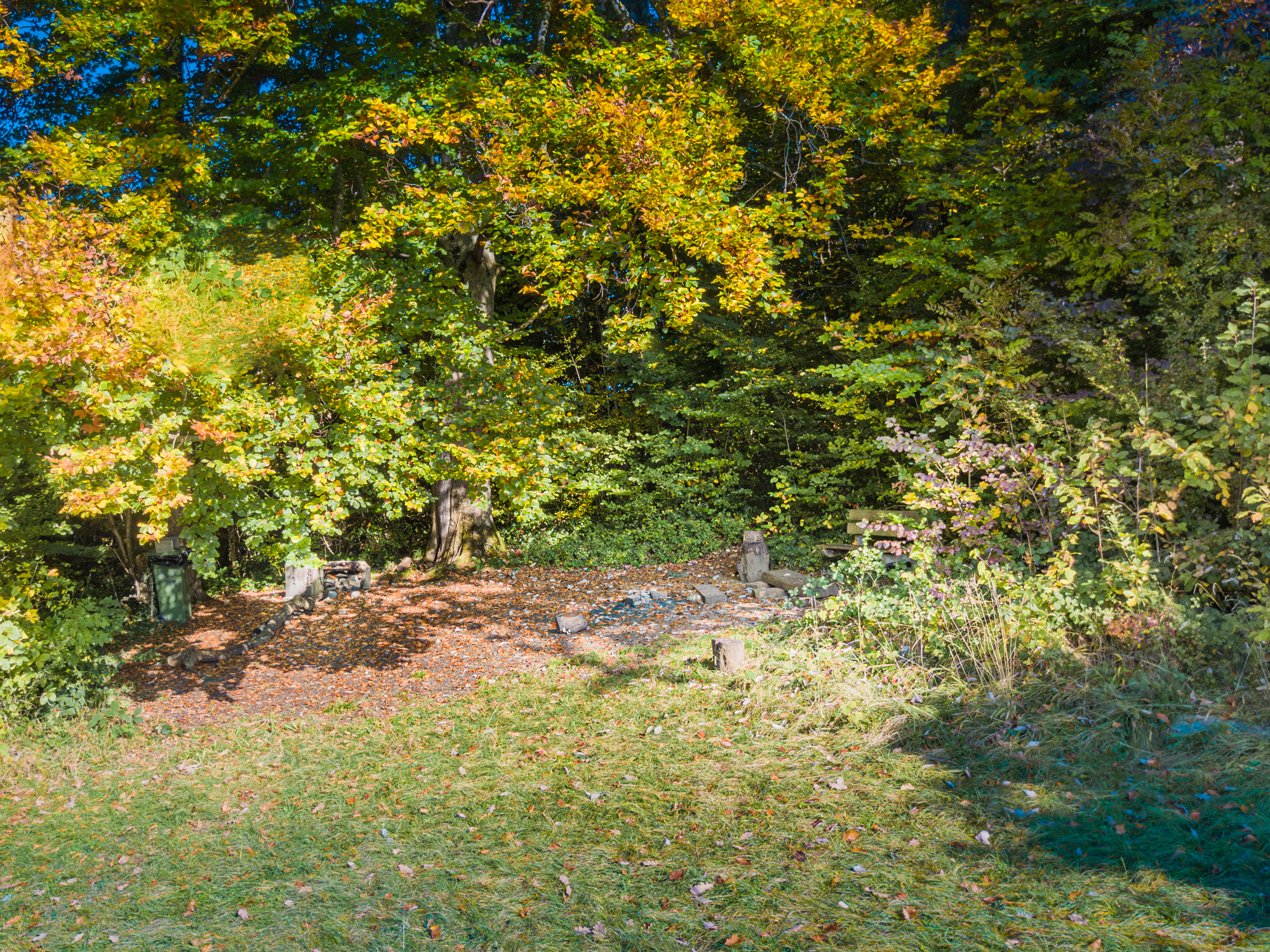 Feuerstelle Falkenfluefeld