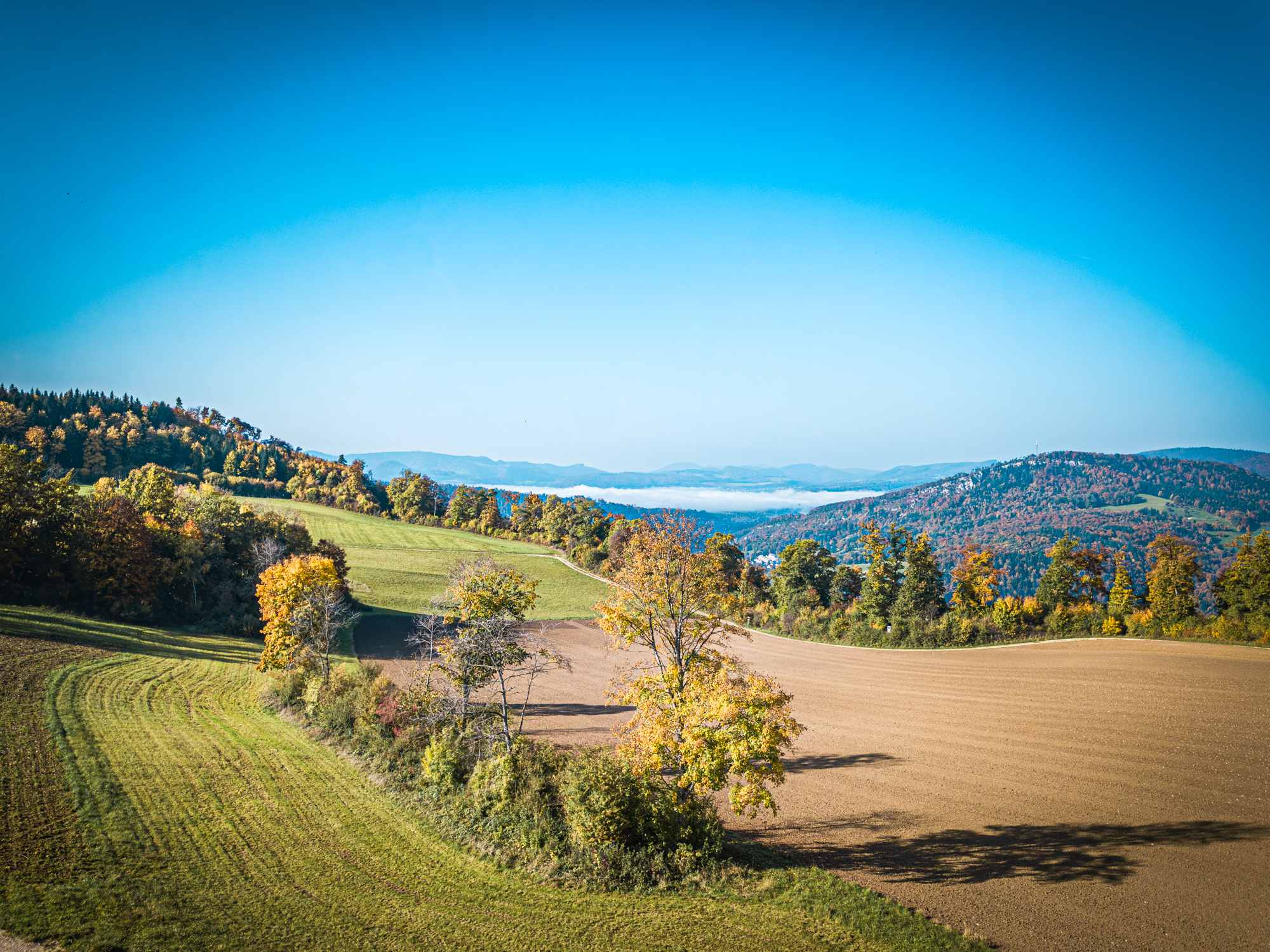 Feuerstelle Falkenfluefeld