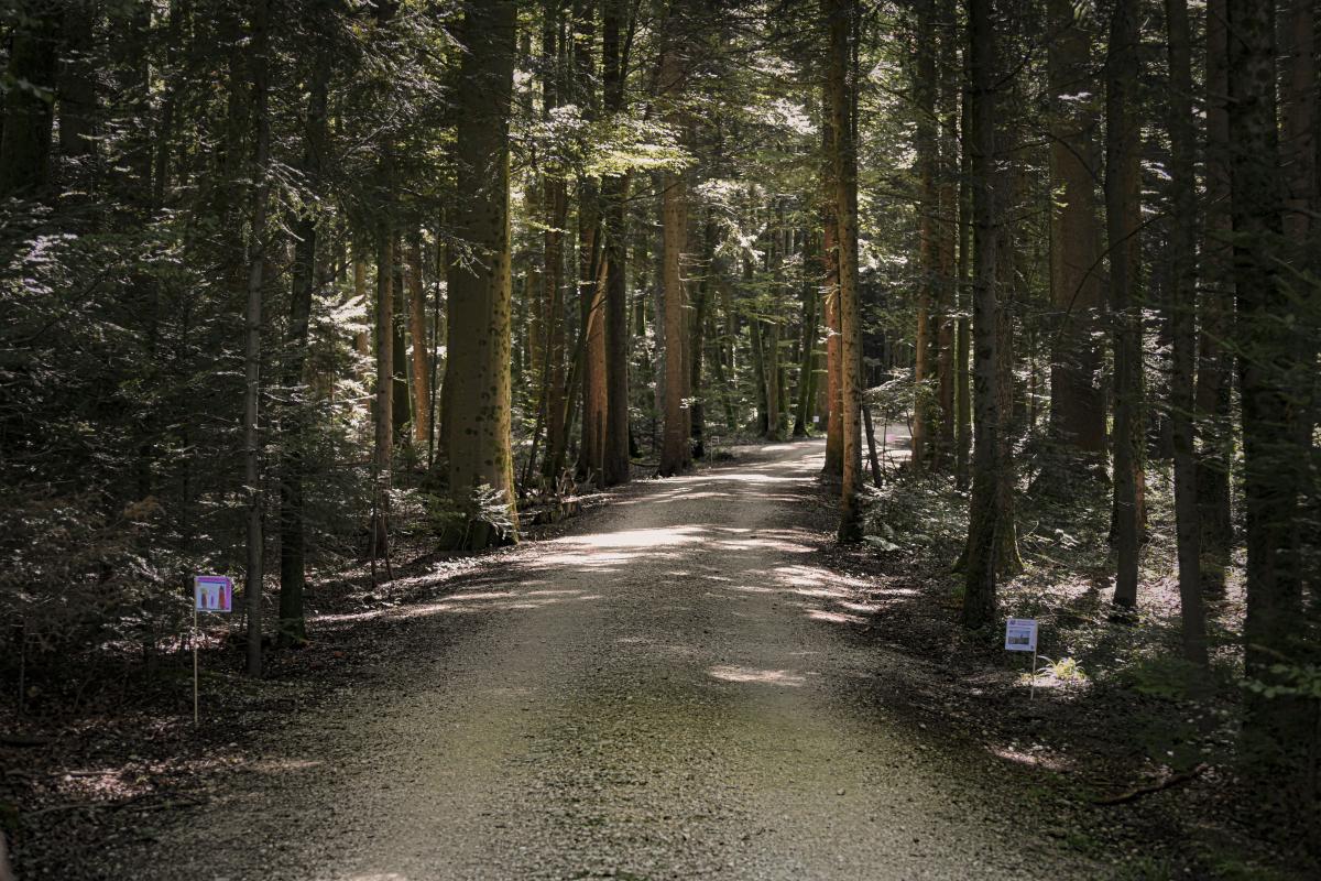 Hobler Rundwanderung