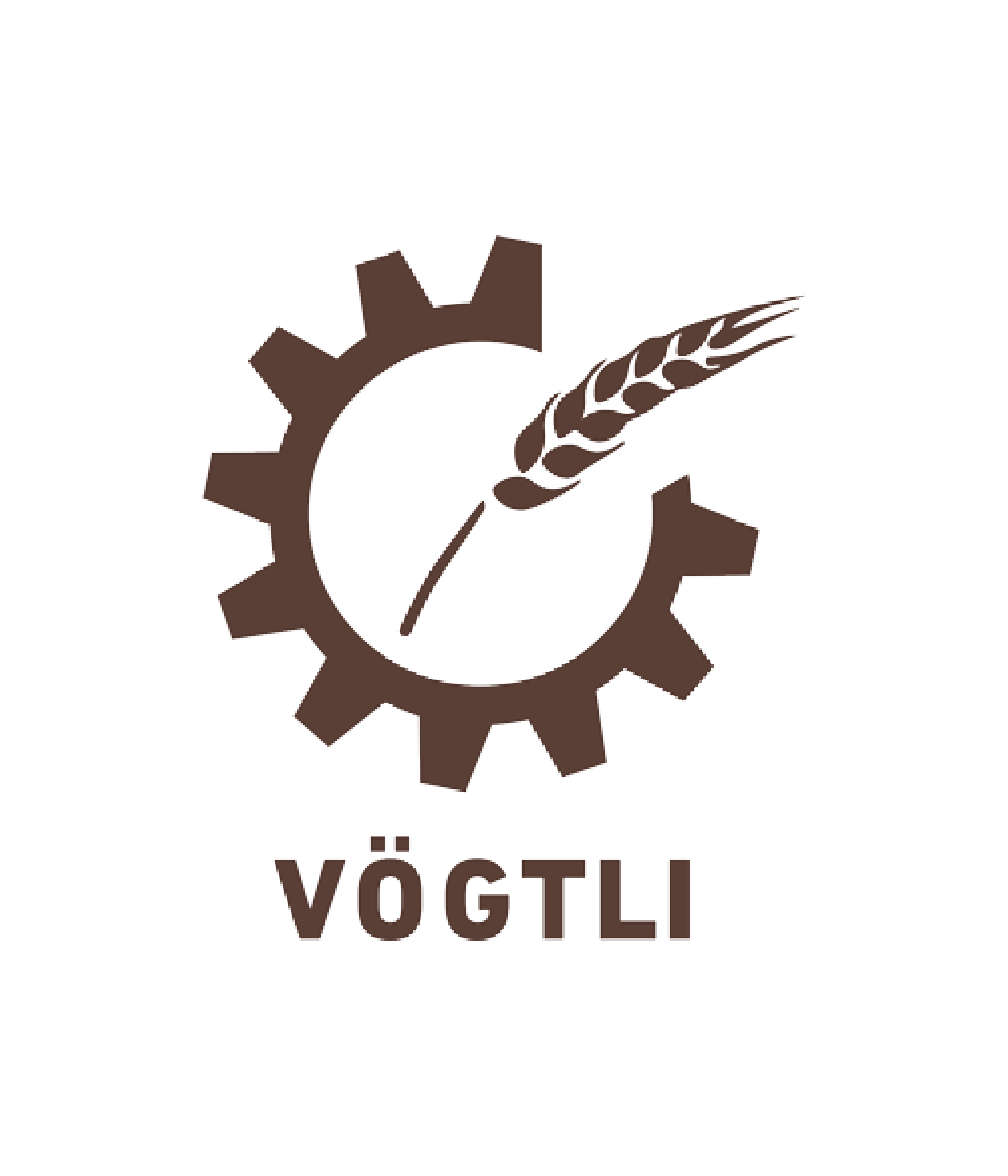 Logo Vögtli Team