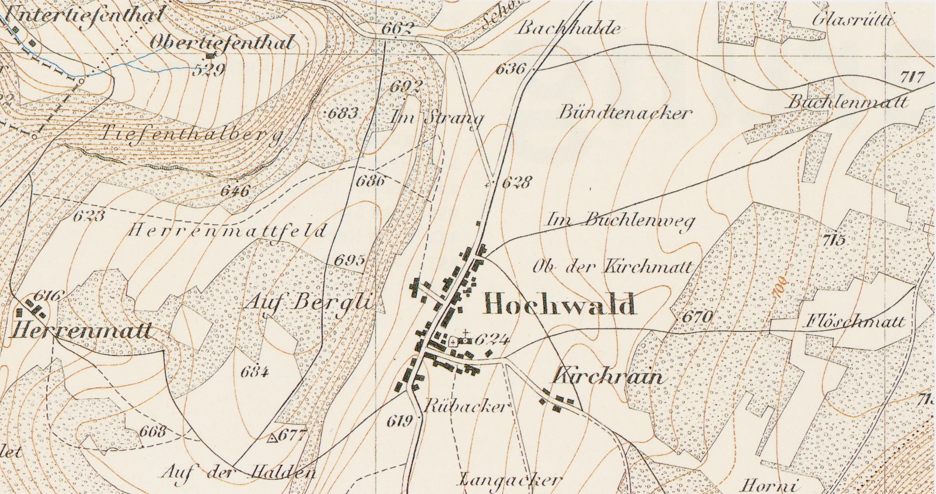 Hochwald 1877