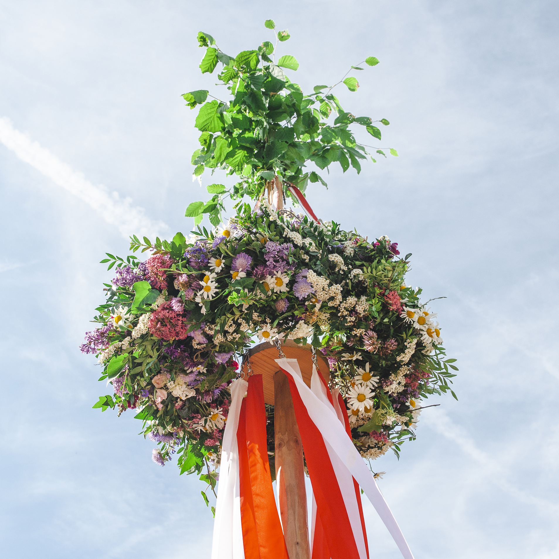 Maibaum