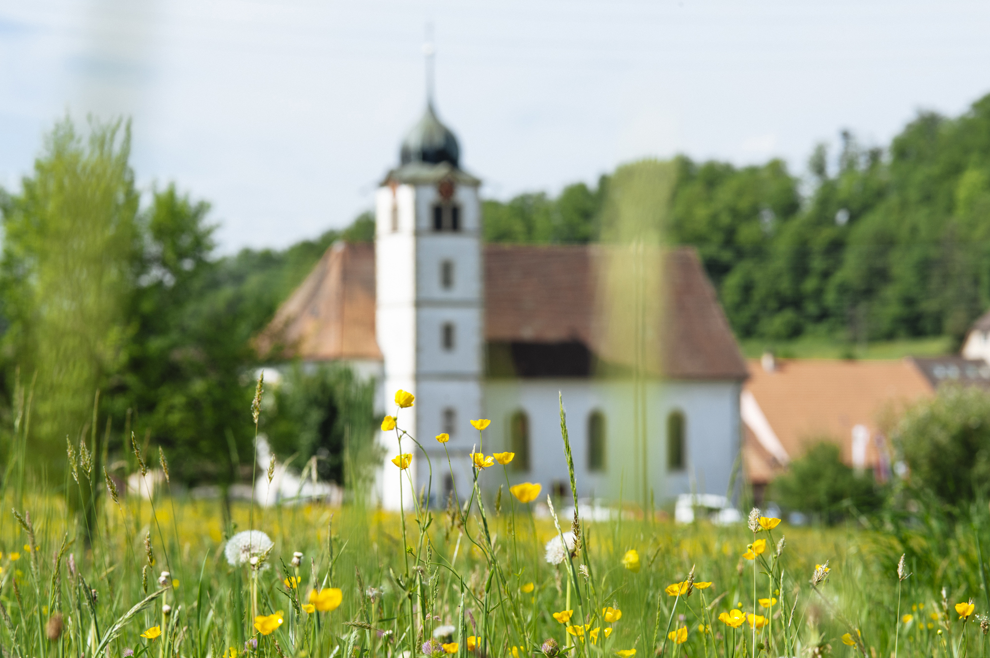 Kirche Hochwald