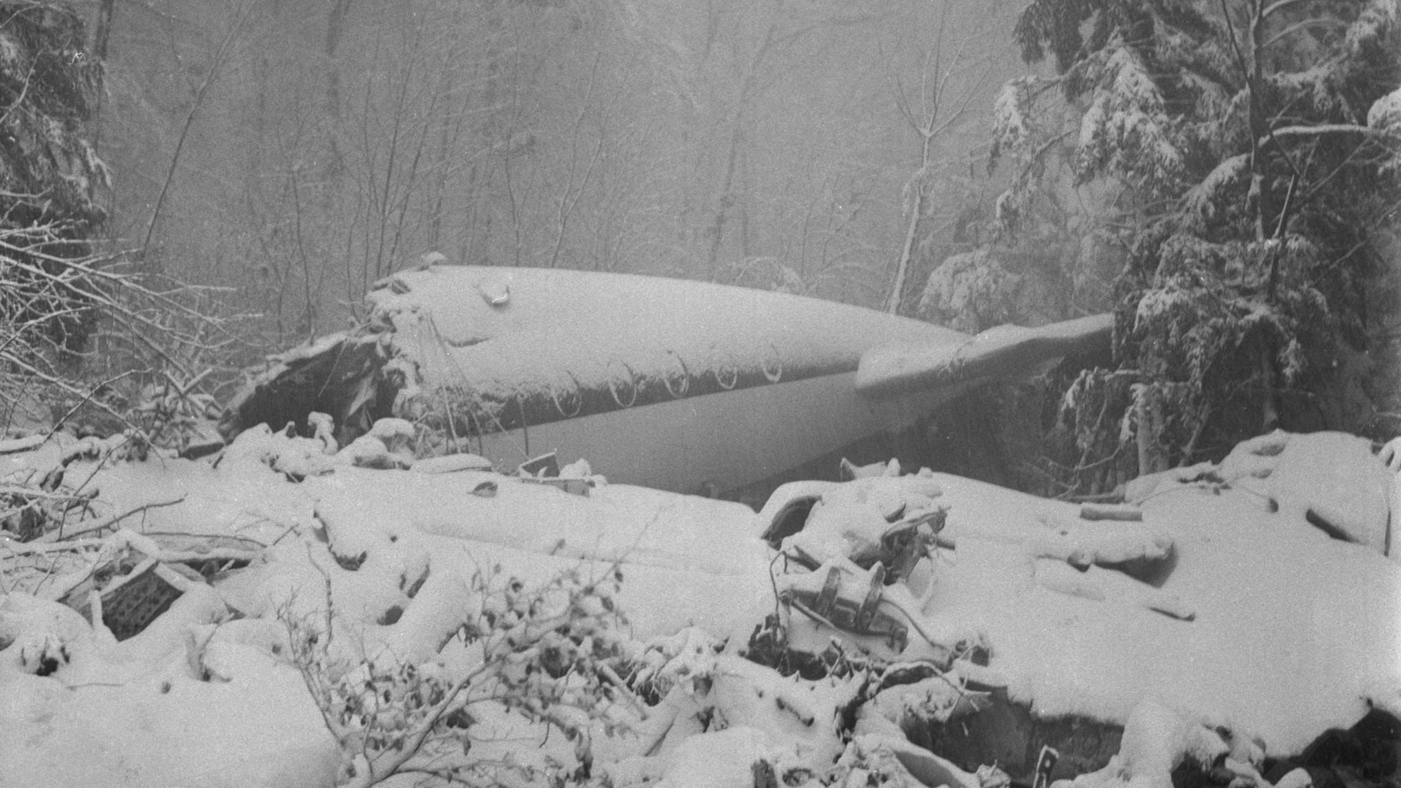 Flugzeugabsturz Hochwald