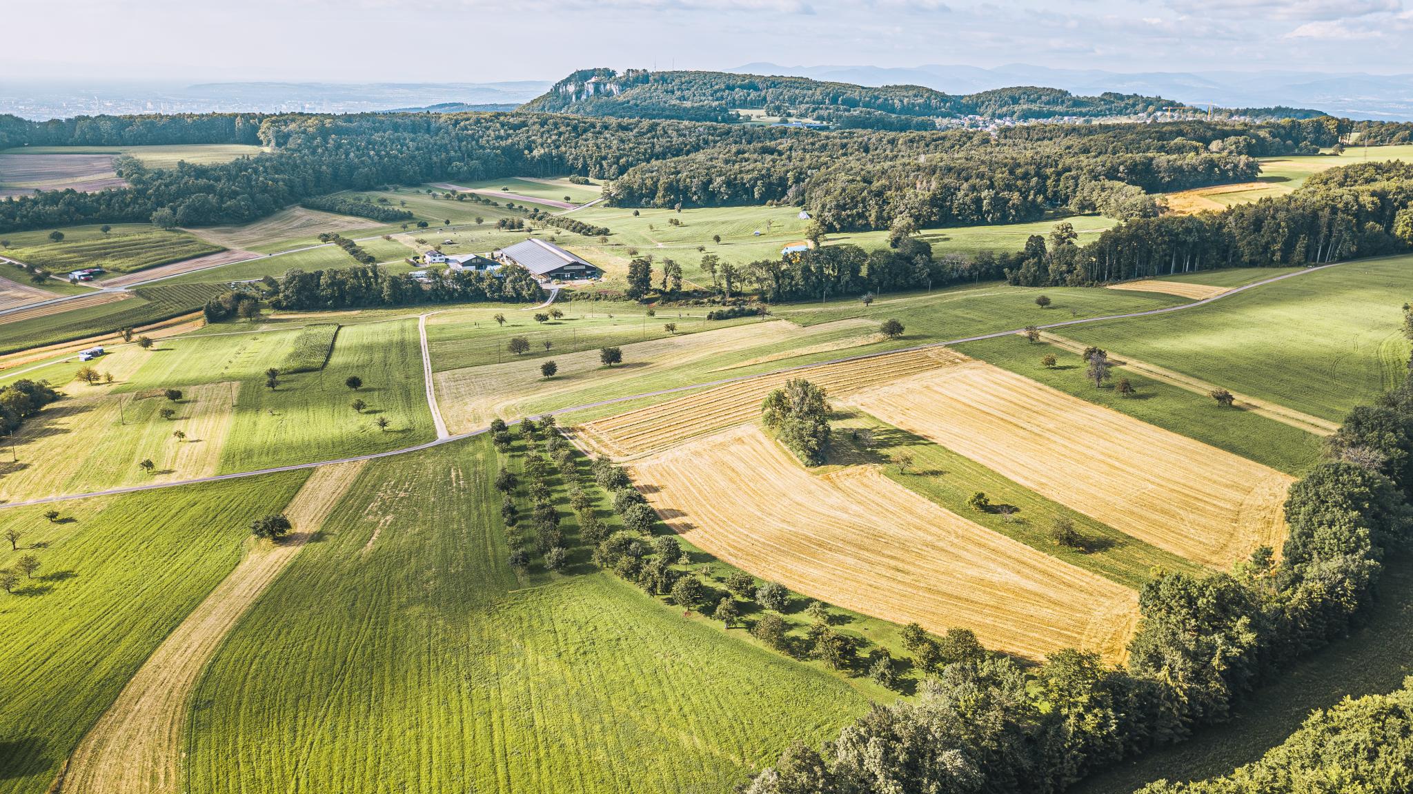Gempenplateau